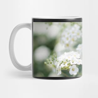 White flowers closeup Mug